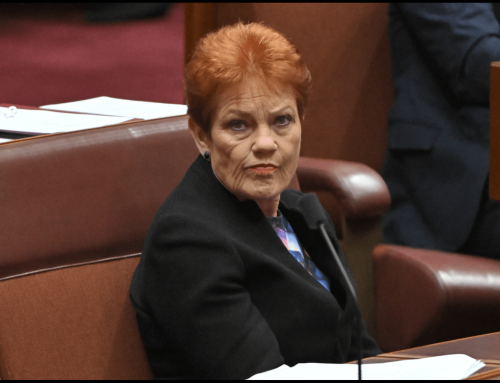 Another poll shows One Nation’s surge has turned around. Has the party peaked?